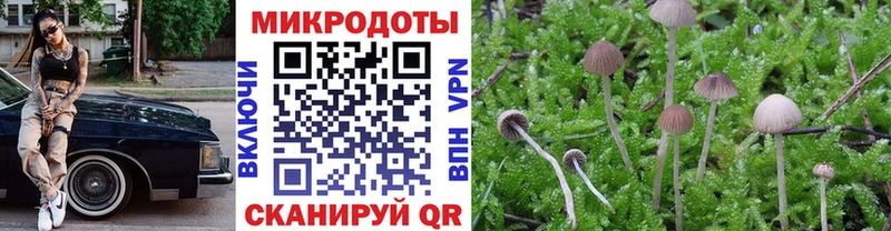 Псилоцибиновые грибы Psilocybe  hydra вход  Шилка  наркотики 